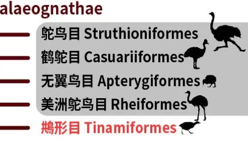 高汤的吃法网 - 高汤的用法窍门,高汤的做法及配方